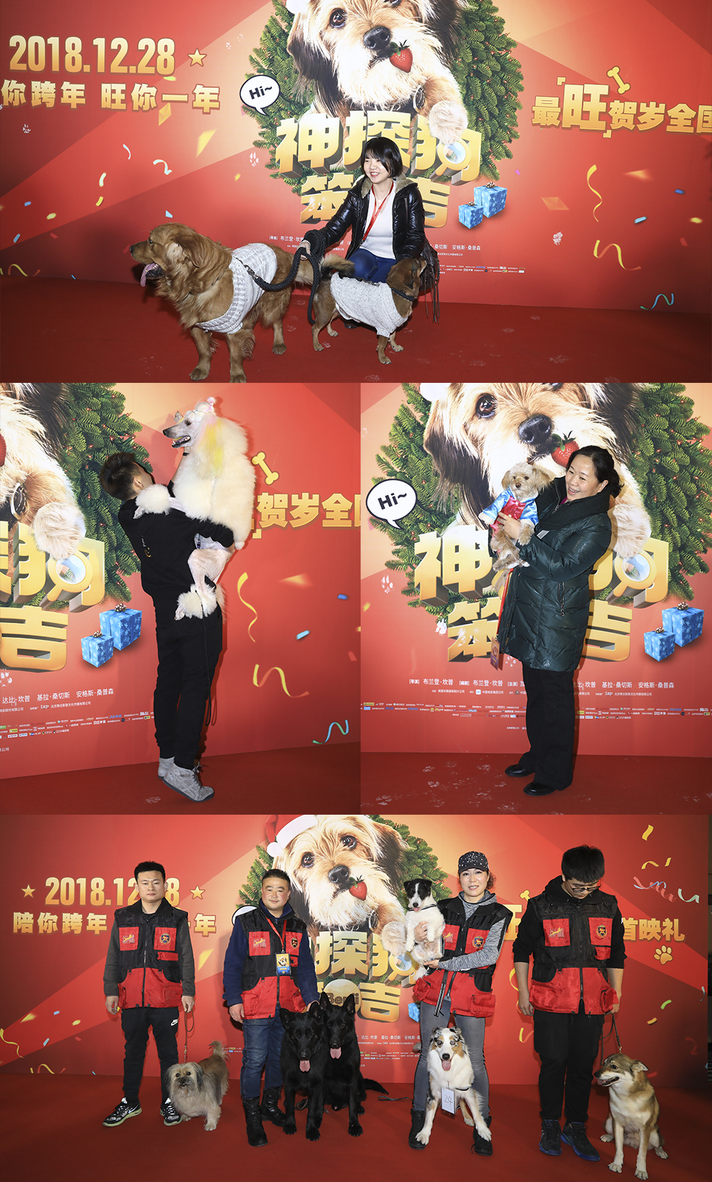 神探狗笨吉剧照的剧照