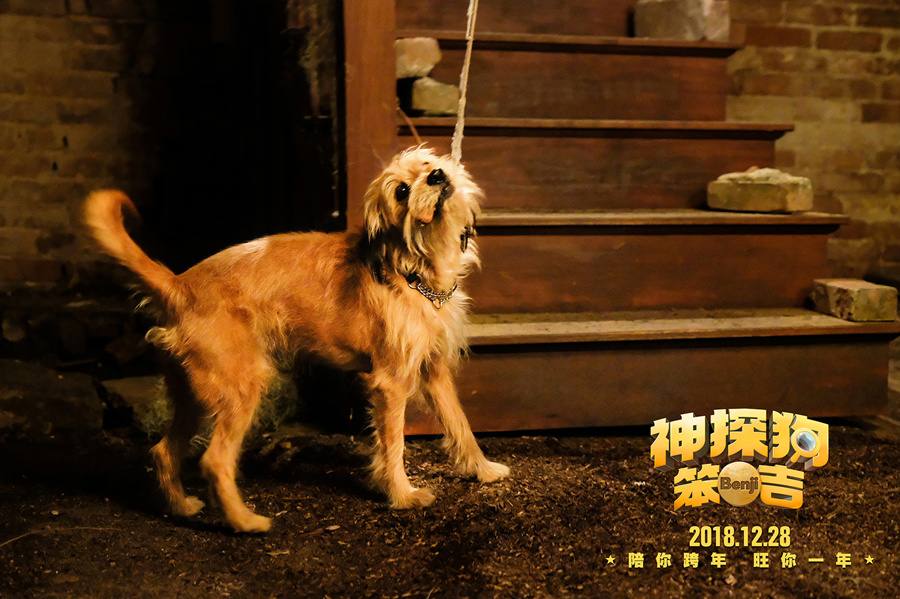 神探狗笨吉剧照的剧照