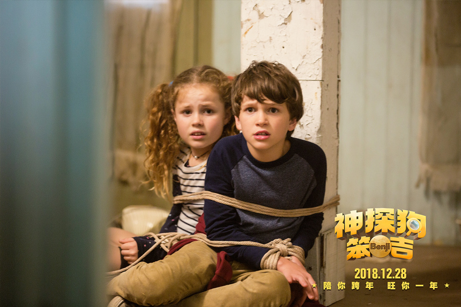 神探狗笨吉剧照的剧照