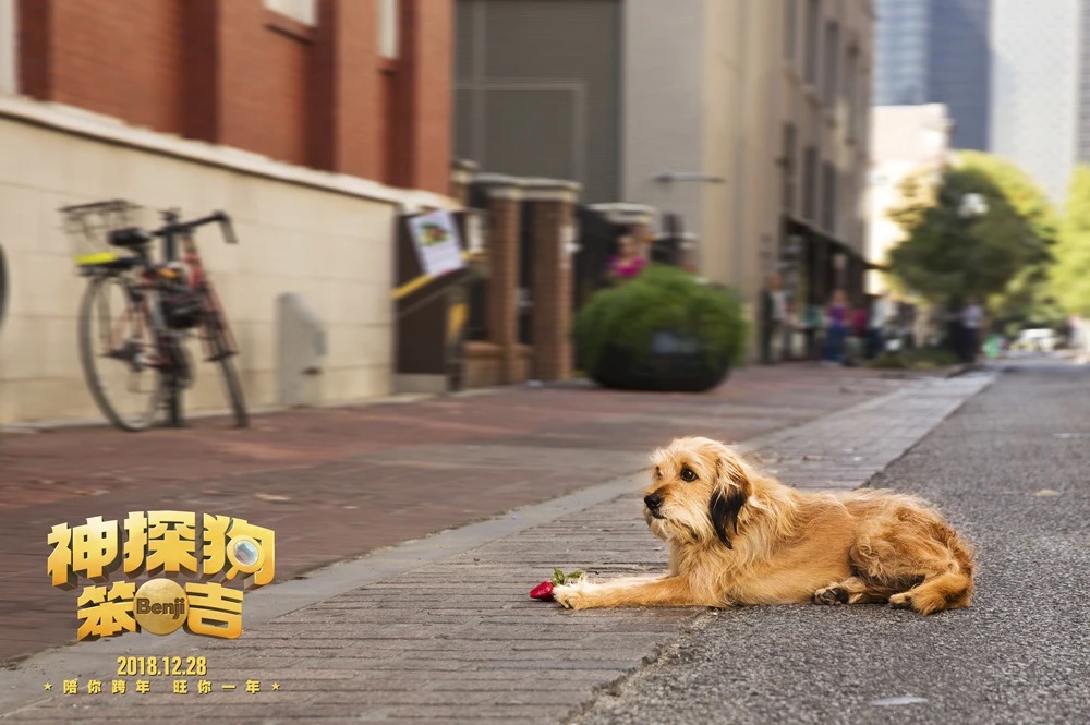 神探狗笨吉剧照的剧照