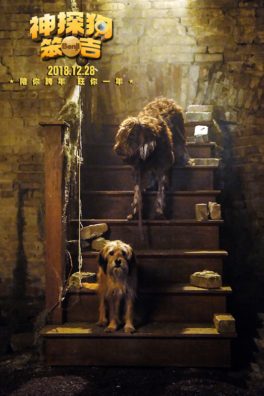 神探狗笨吉剧照的剧照