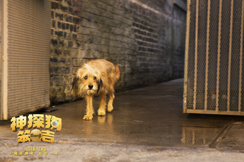 神探狗笨吉剧照的剧照