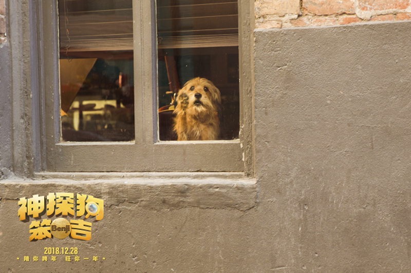 神探狗笨吉剧照的剧照