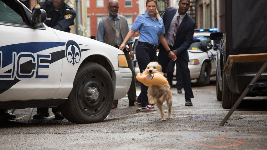 神探狗笨吉剧照的剧照