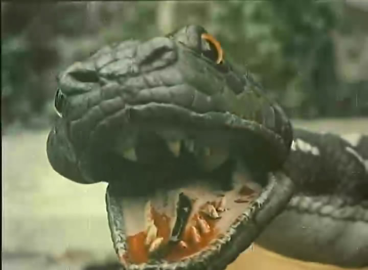 人蛇大战1蛇妖剧照的剧照