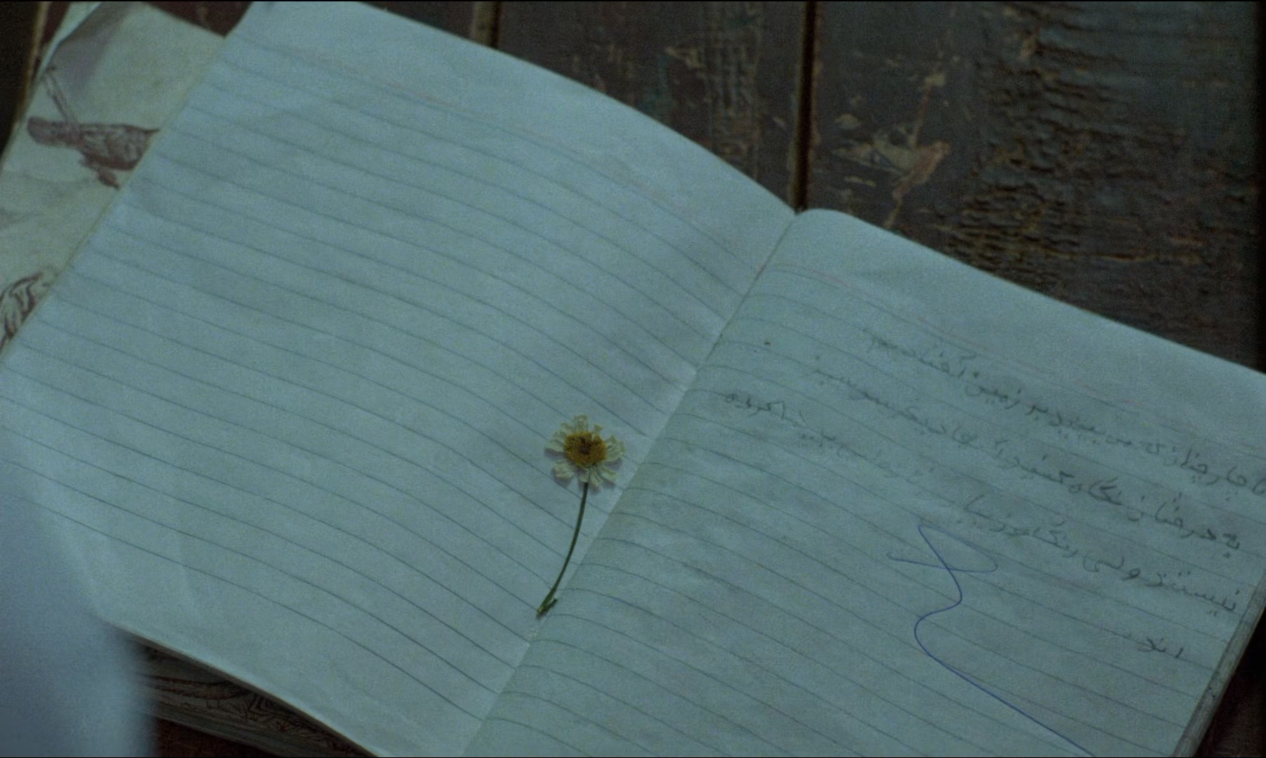 何处是我朋友的家剧照的剧照