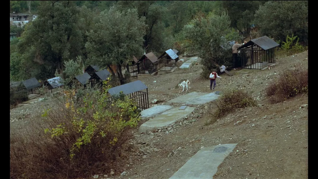 何处是我朋友的家剧照的剧照