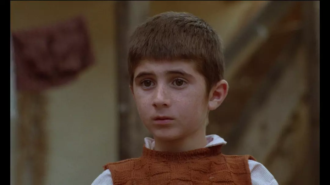 何处是我朋友的家剧照的剧照