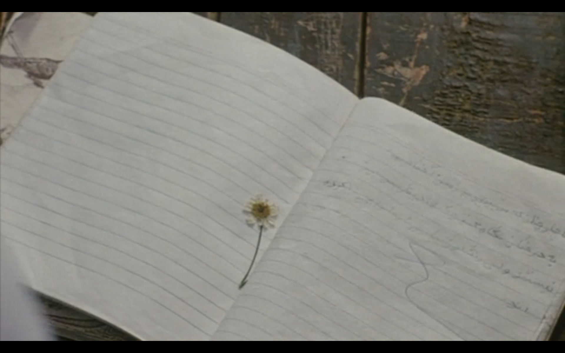 何处是我朋友的家剧照的剧照