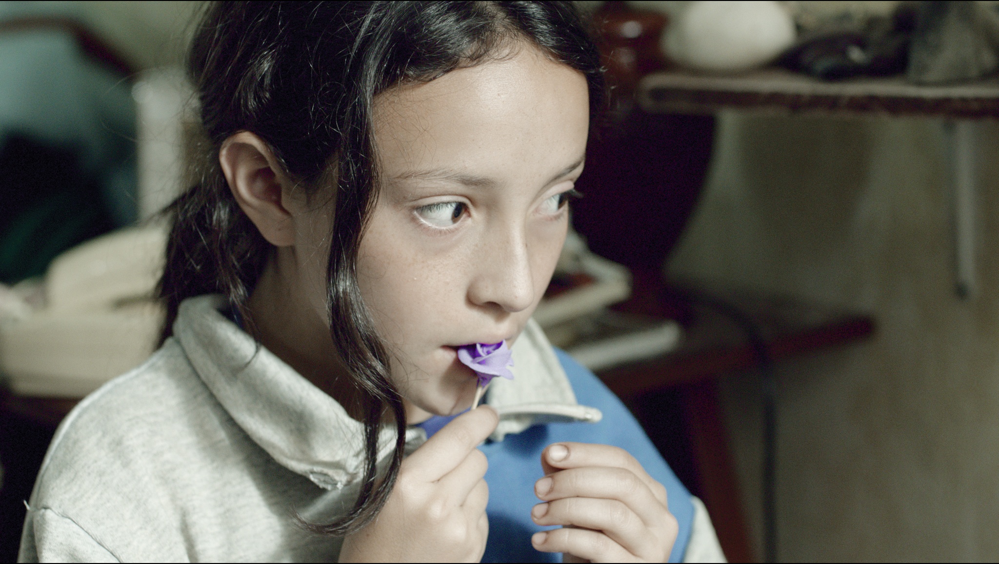 阿尔芭剧照的剧照