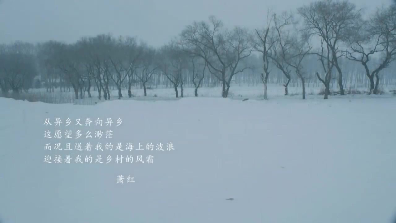 她认出了风暴：萧红和她的黄金时代剧照的剧照