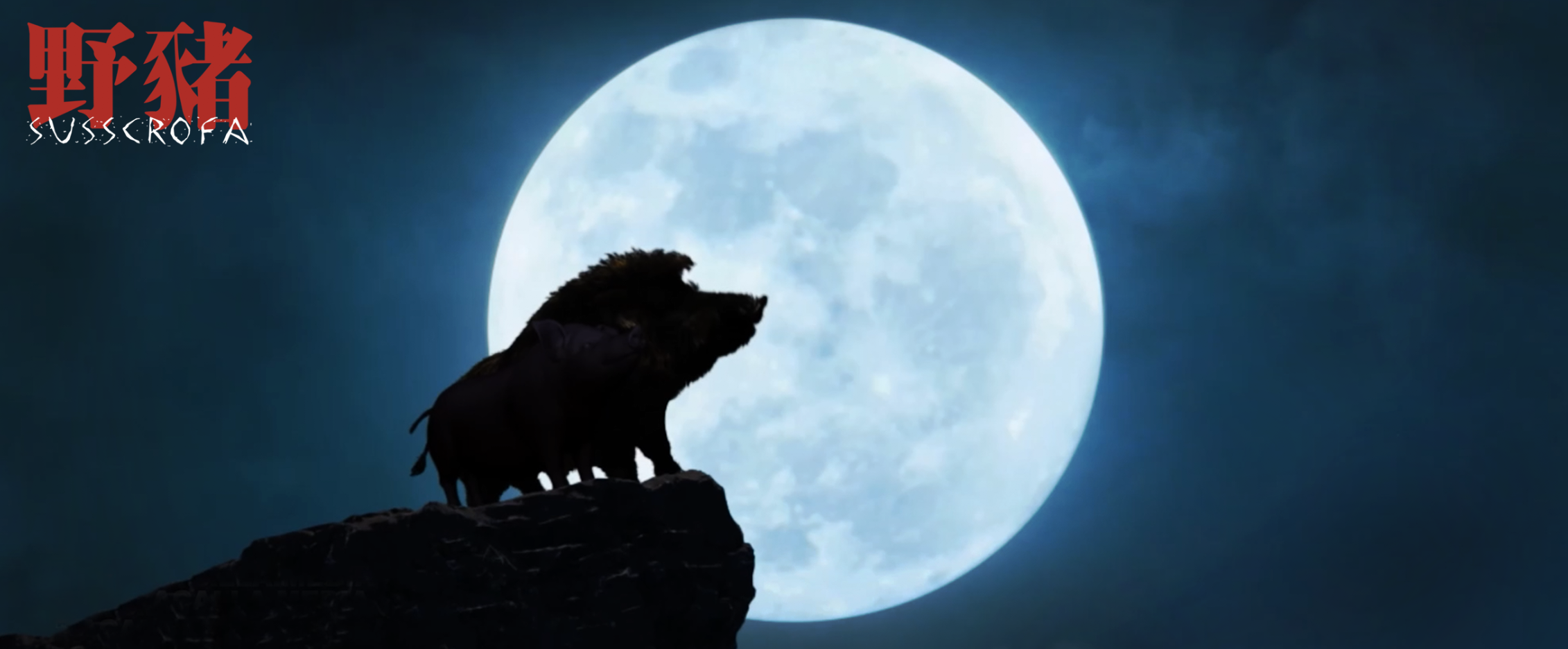 野猪剧照的剧照