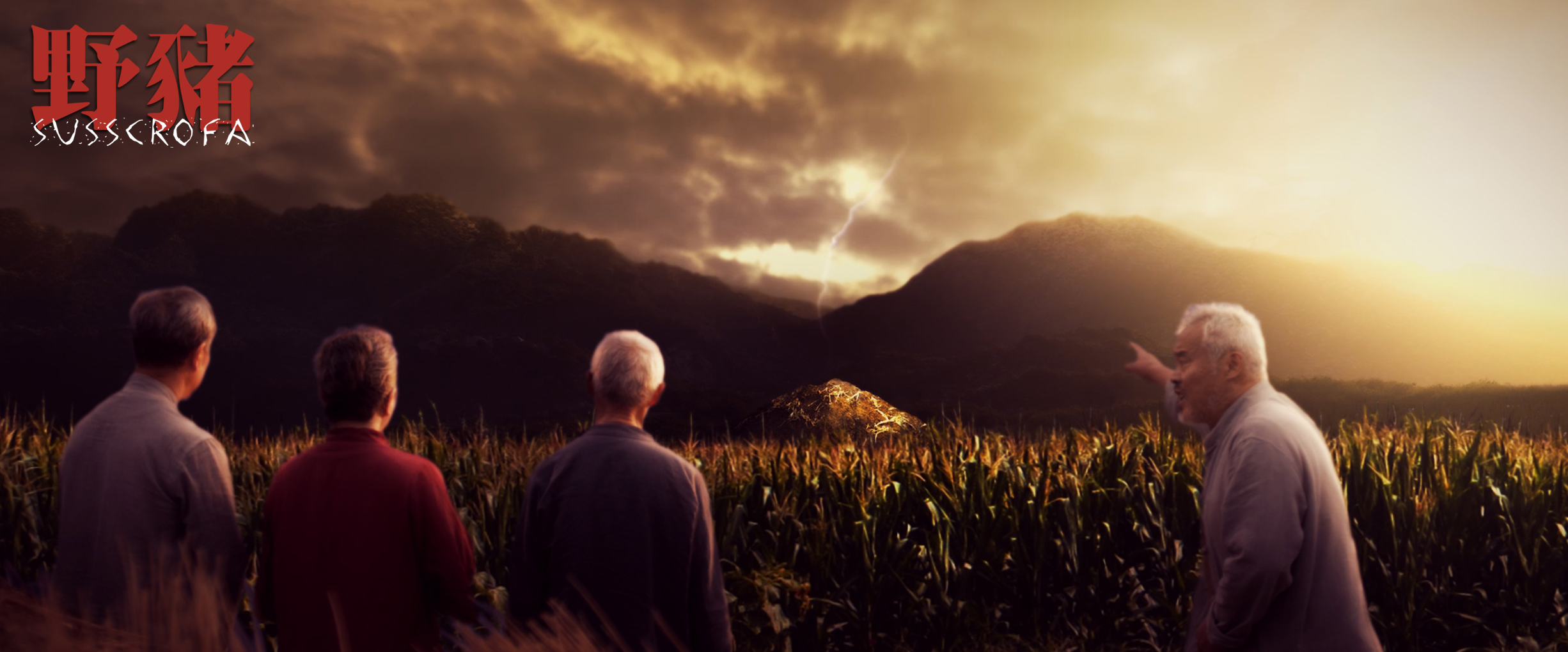 野猪剧照的剧照