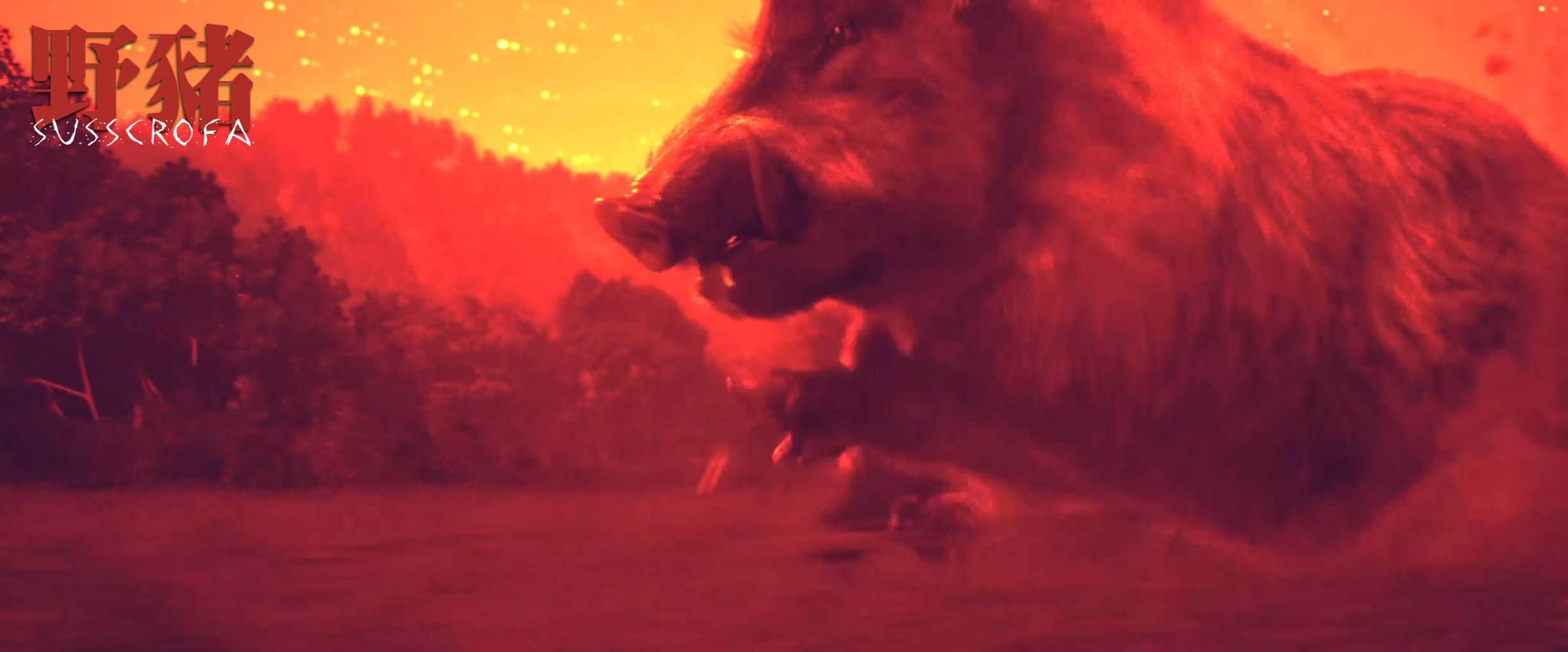 野猪剧照的剧照