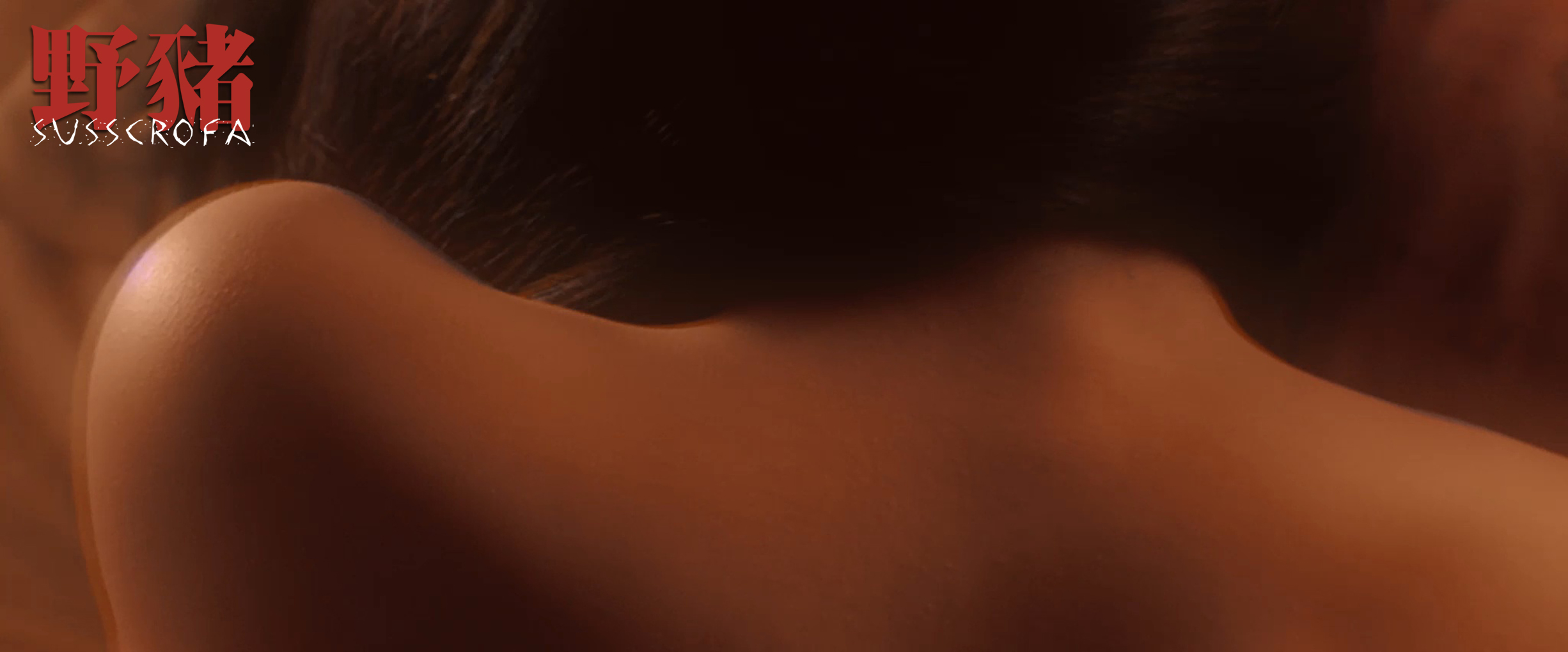 野猪剧照的剧照