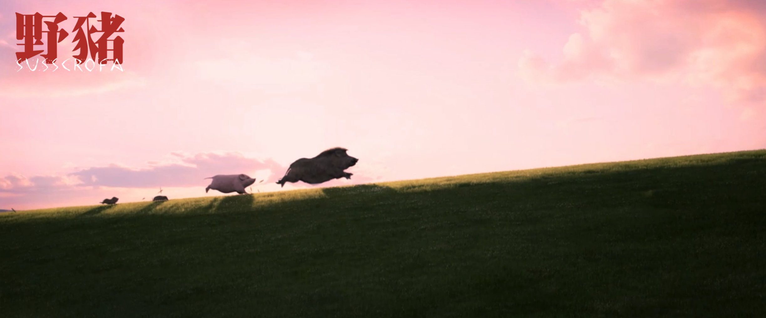 野猪剧照的剧照