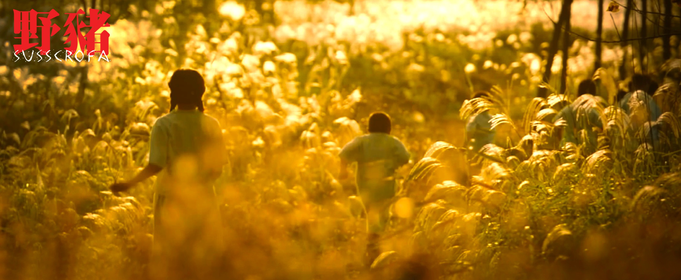 野猪剧照的剧照