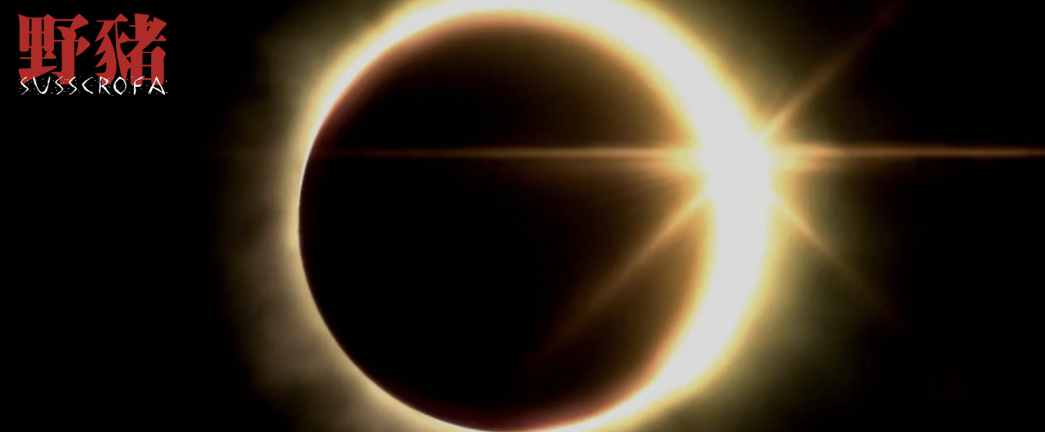 野猪剧照的剧照