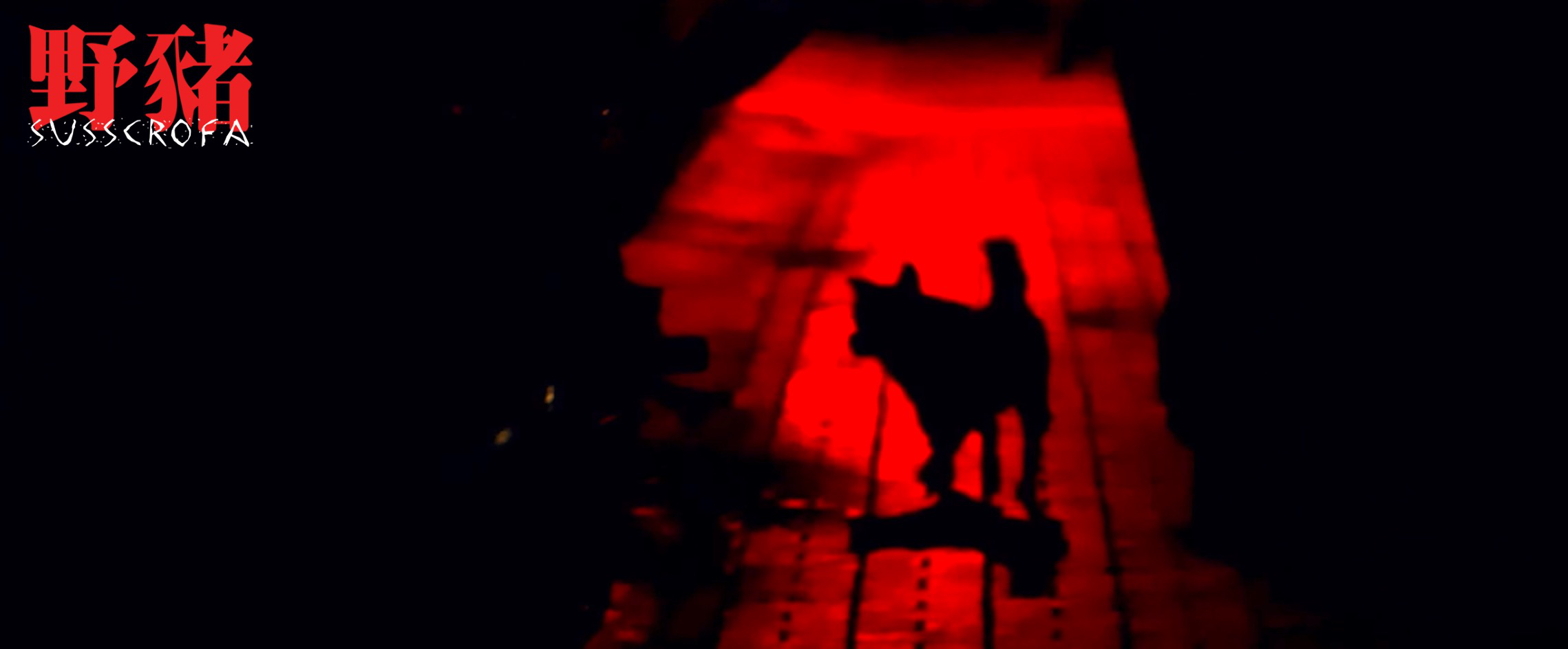 野猪剧照的剧照