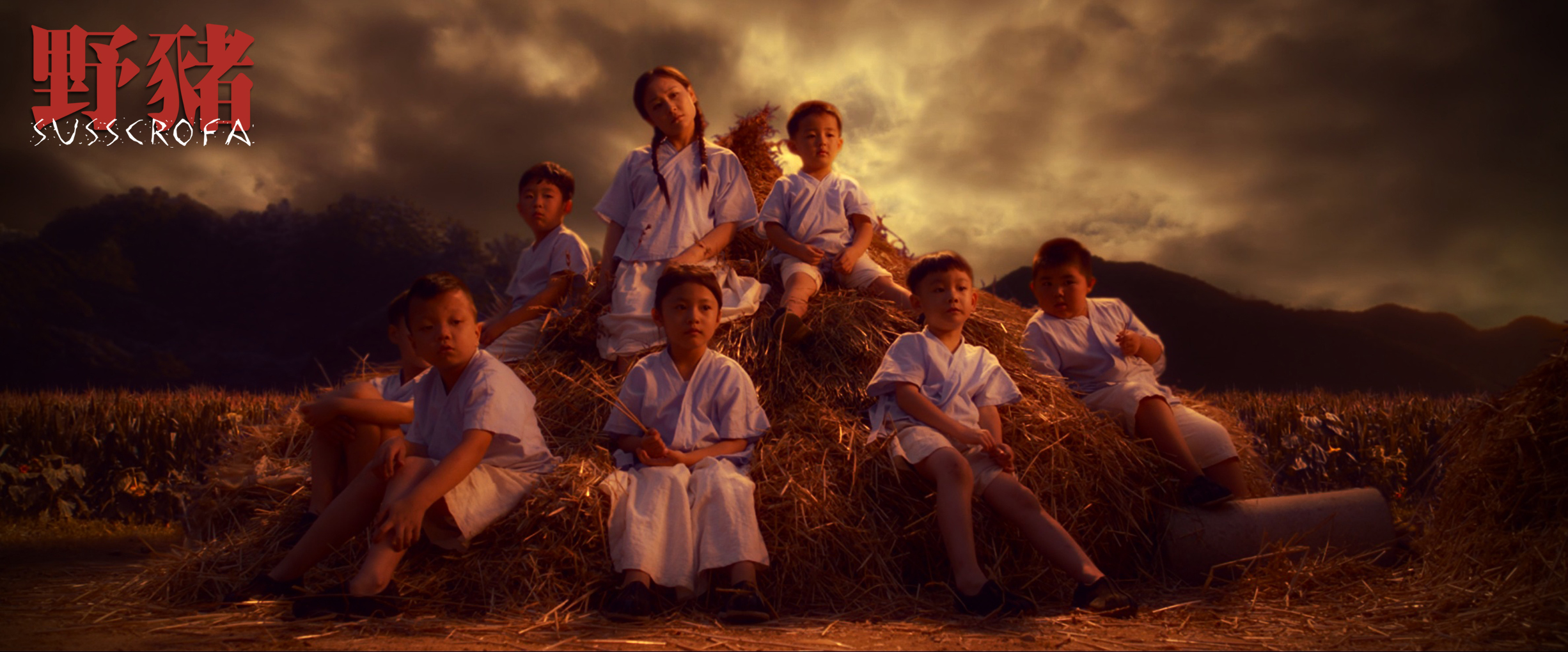 野猪剧照的剧照