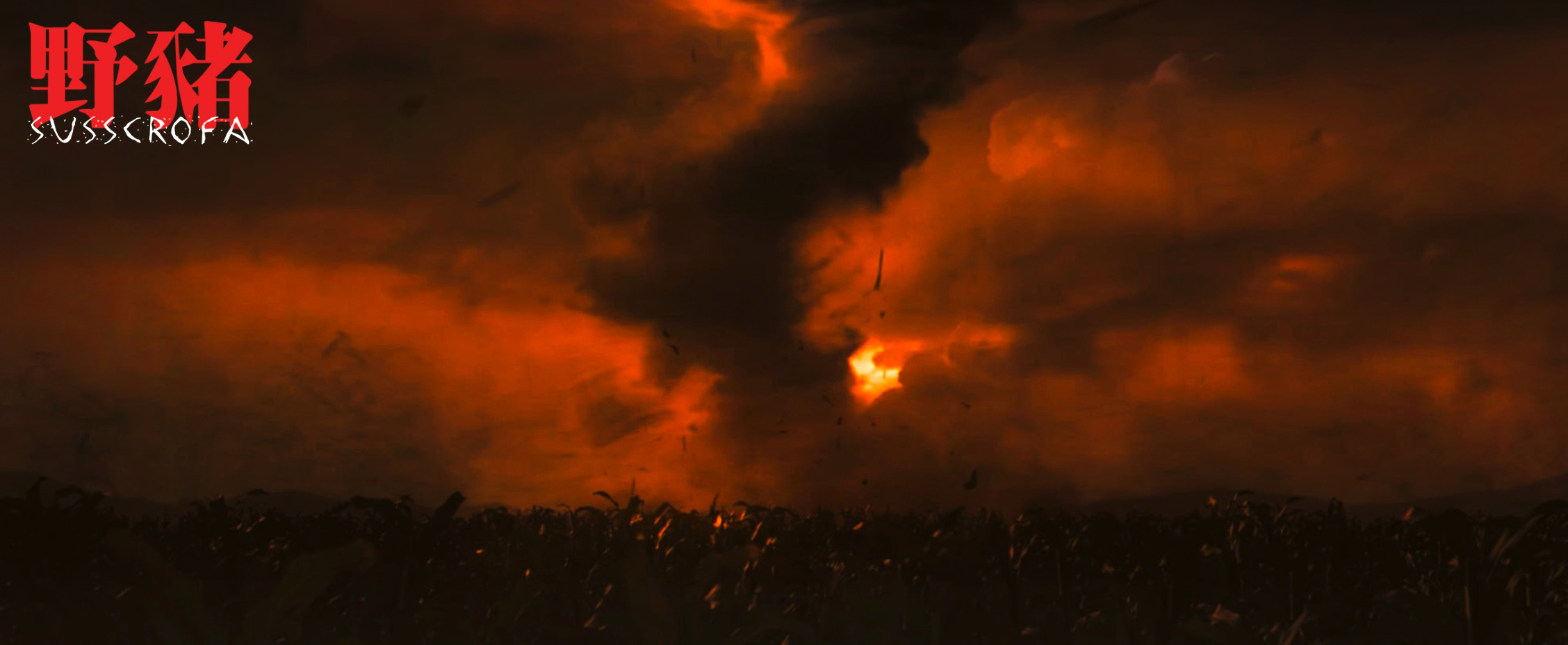 野猪剧照的剧照