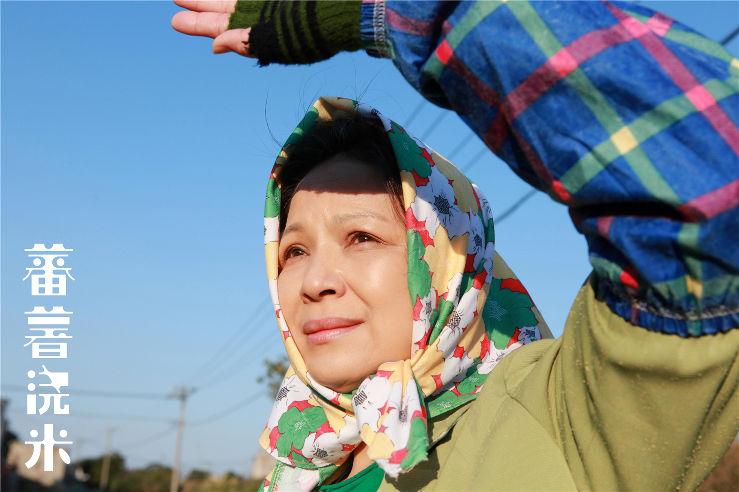 蕃薯浇米剧照的剧照