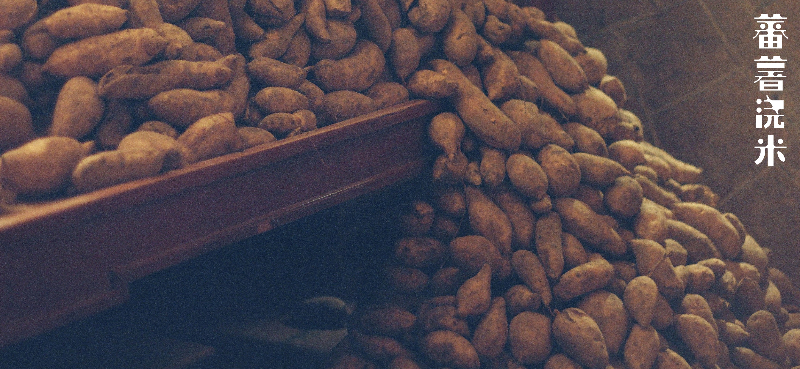 蕃薯浇米剧照的剧照