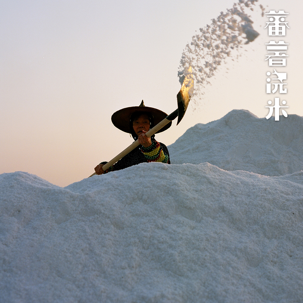 蕃薯浇米剧照的剧照