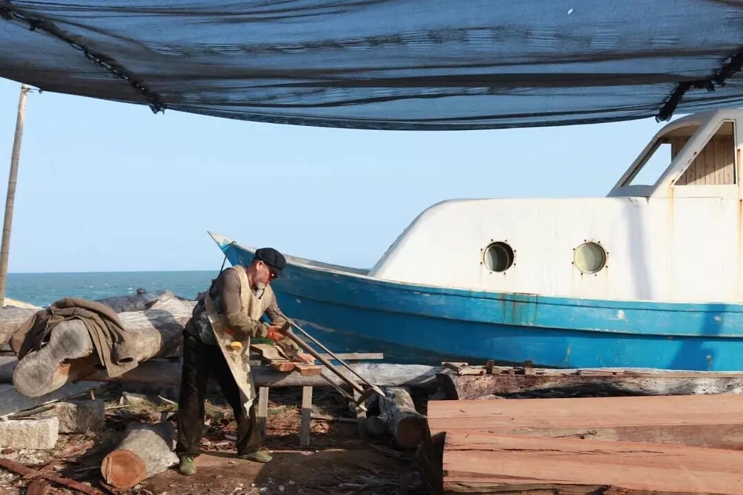 蕃薯浇米剧照的剧照