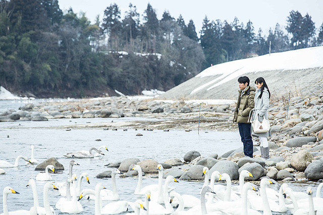 午夜巴士剧照的剧照