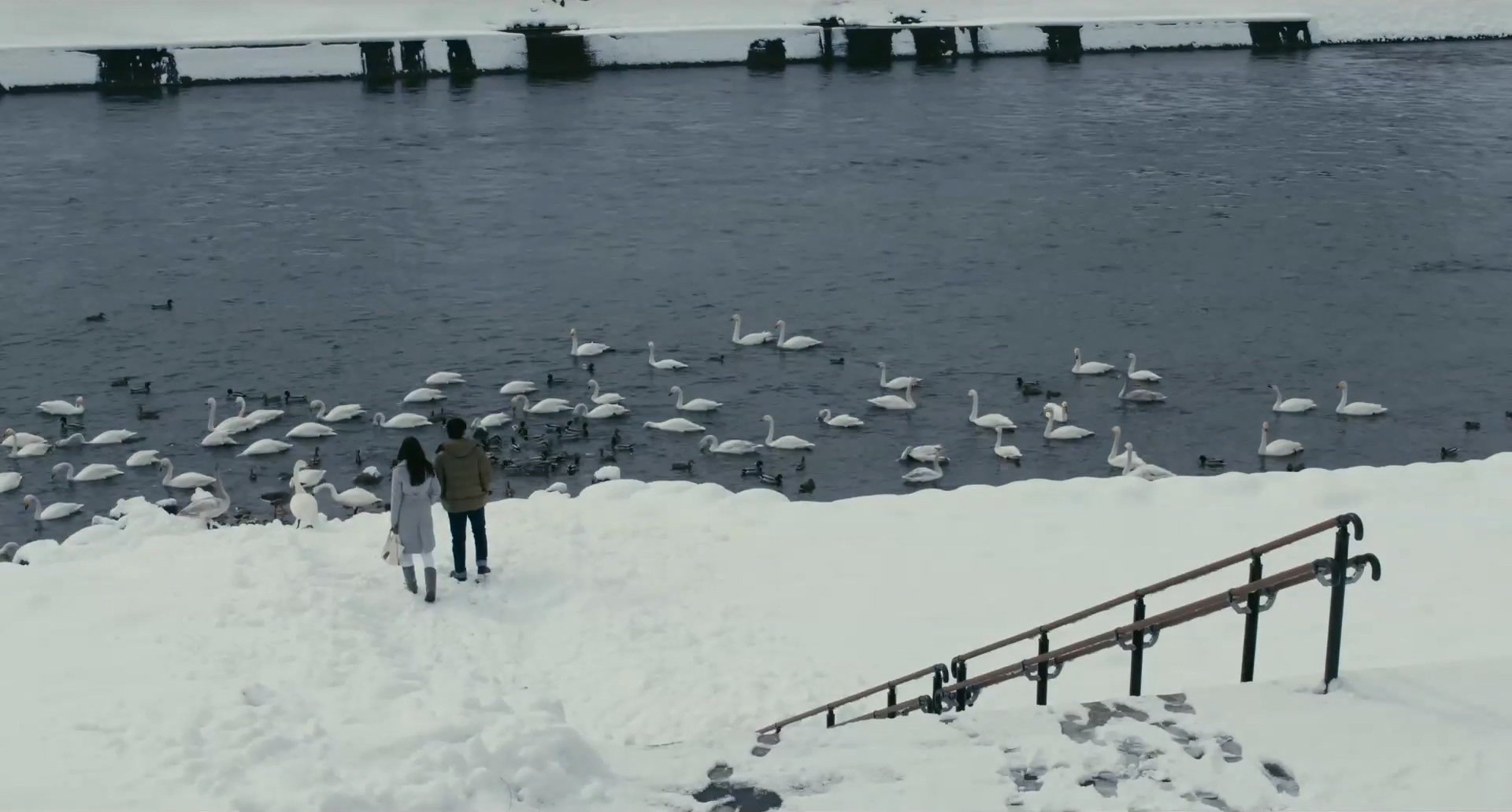 午夜巴士剧照的剧照