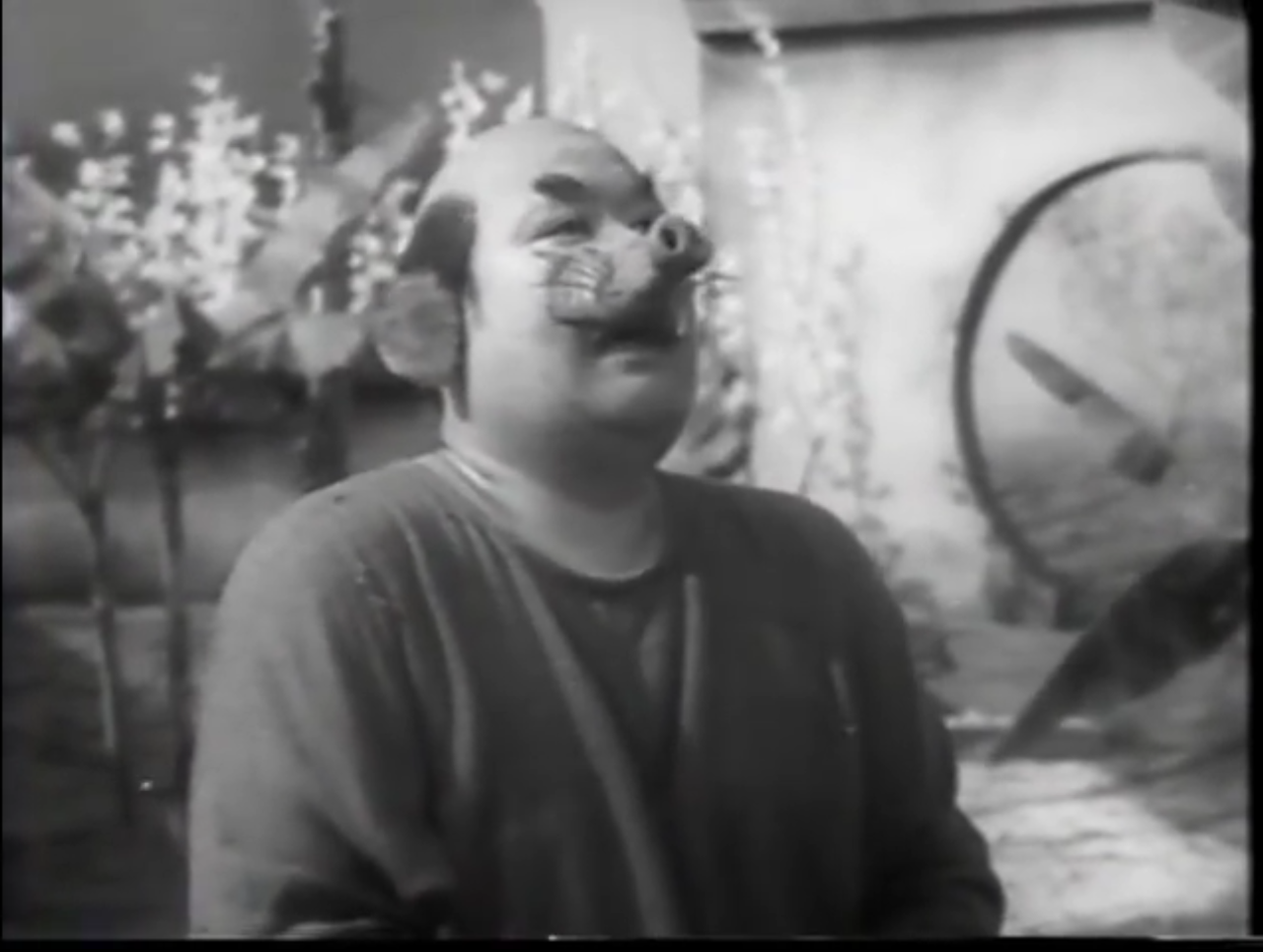 孙悟空剧照的剧照