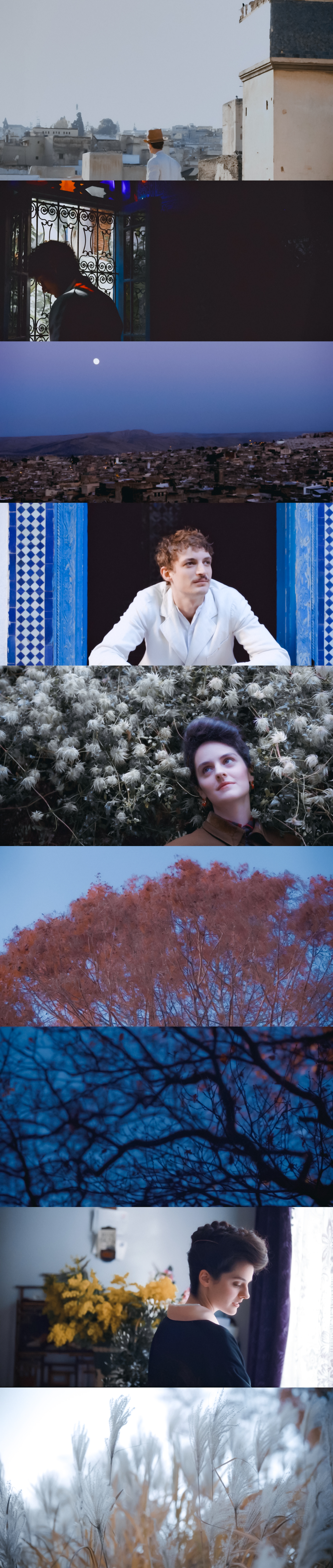 珍品剧照的剧照