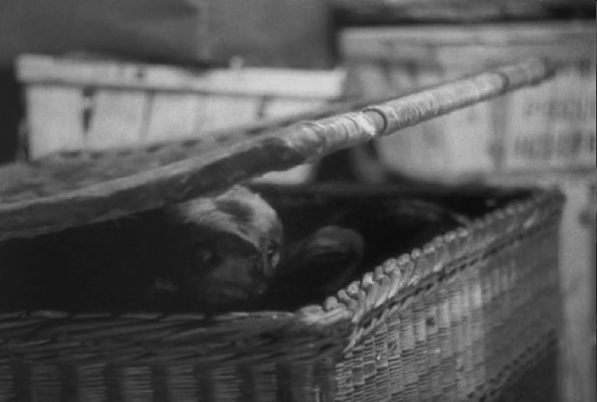 贵妇失踪记剧照的剧照