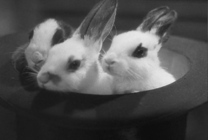 贵妇失踪记剧照的剧照