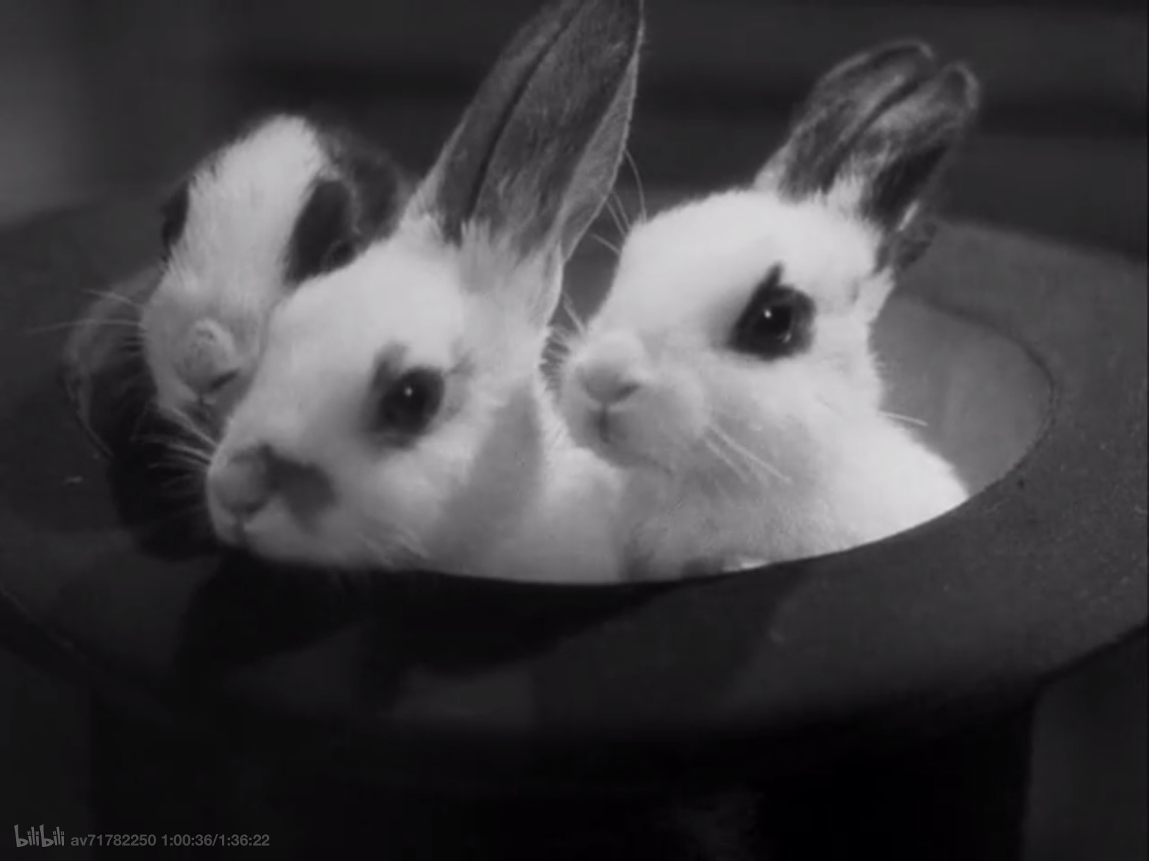 贵妇失踪记剧照的剧照