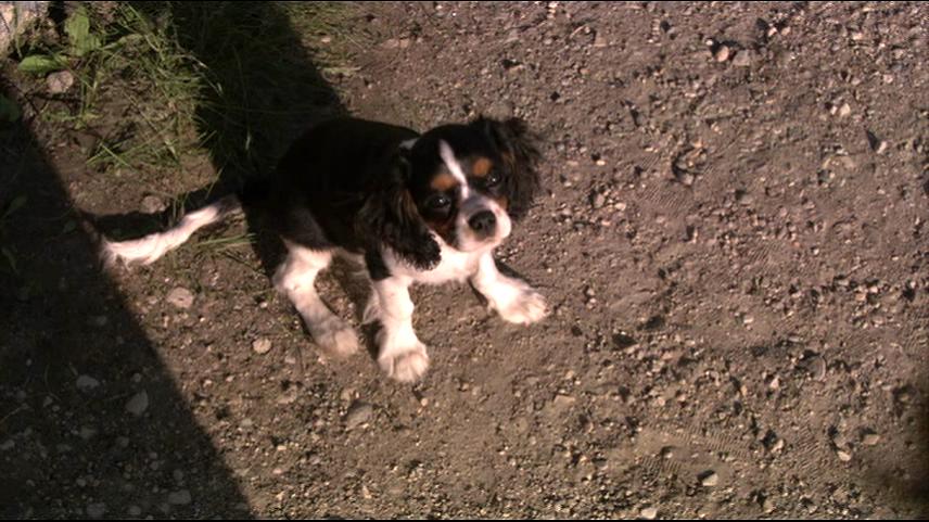 绝命人口436剧照的剧照