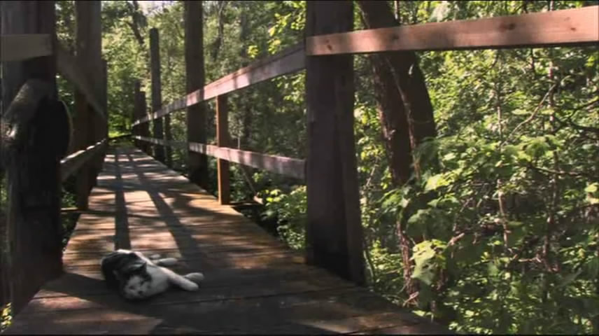 绝命人口436剧照的剧照