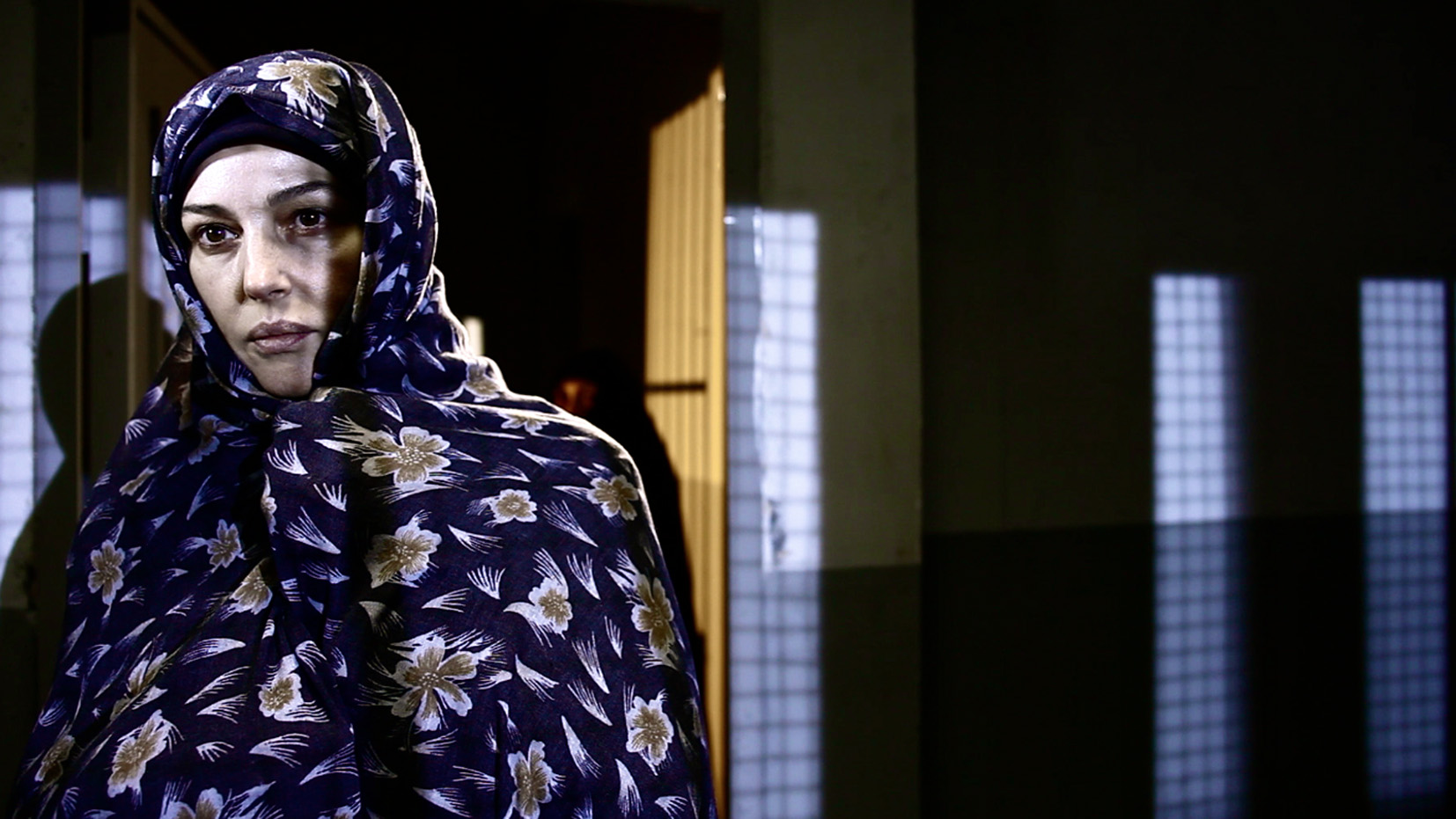 犀牛季节剧照的剧照