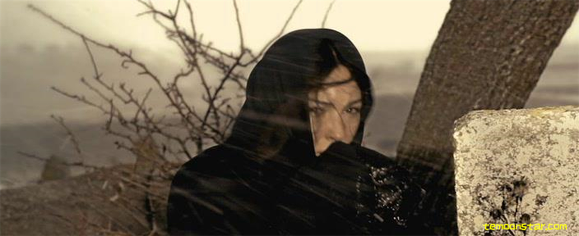 犀牛季节剧照的剧照