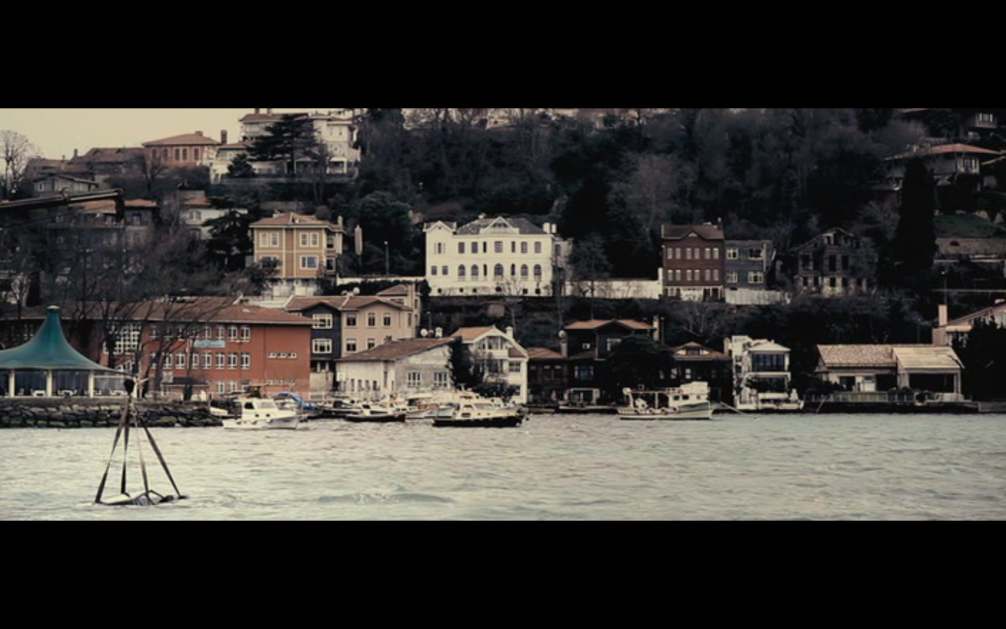 犀牛季节剧照的剧照