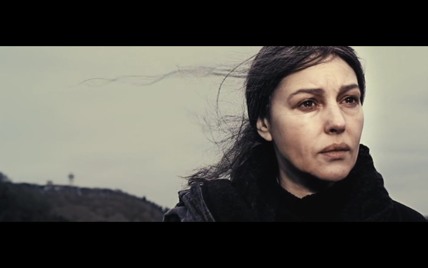 犀牛季节剧照的剧照