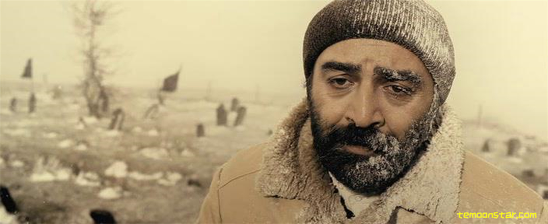 犀牛季节剧照的剧照