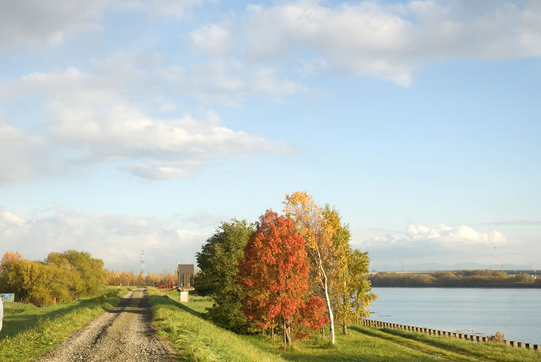 前路漫漫剧照的剧照