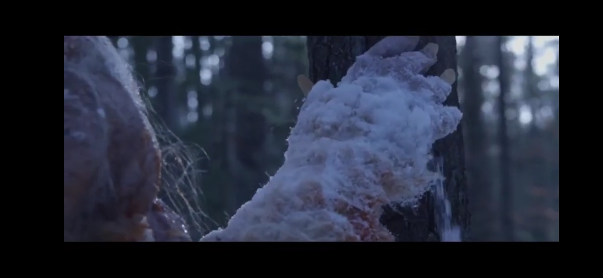 雪怪惊魂剧照的剧照