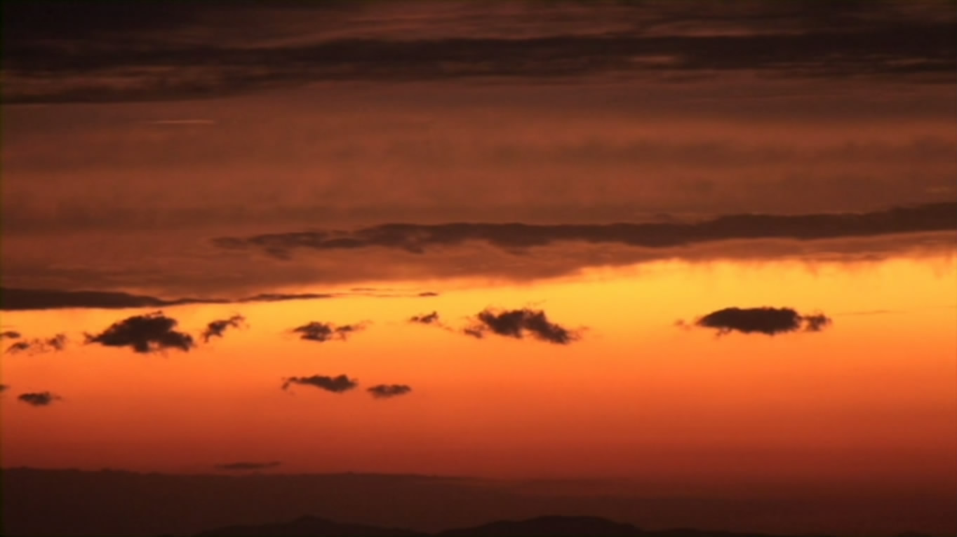 没有人活着吗？剧照的剧照