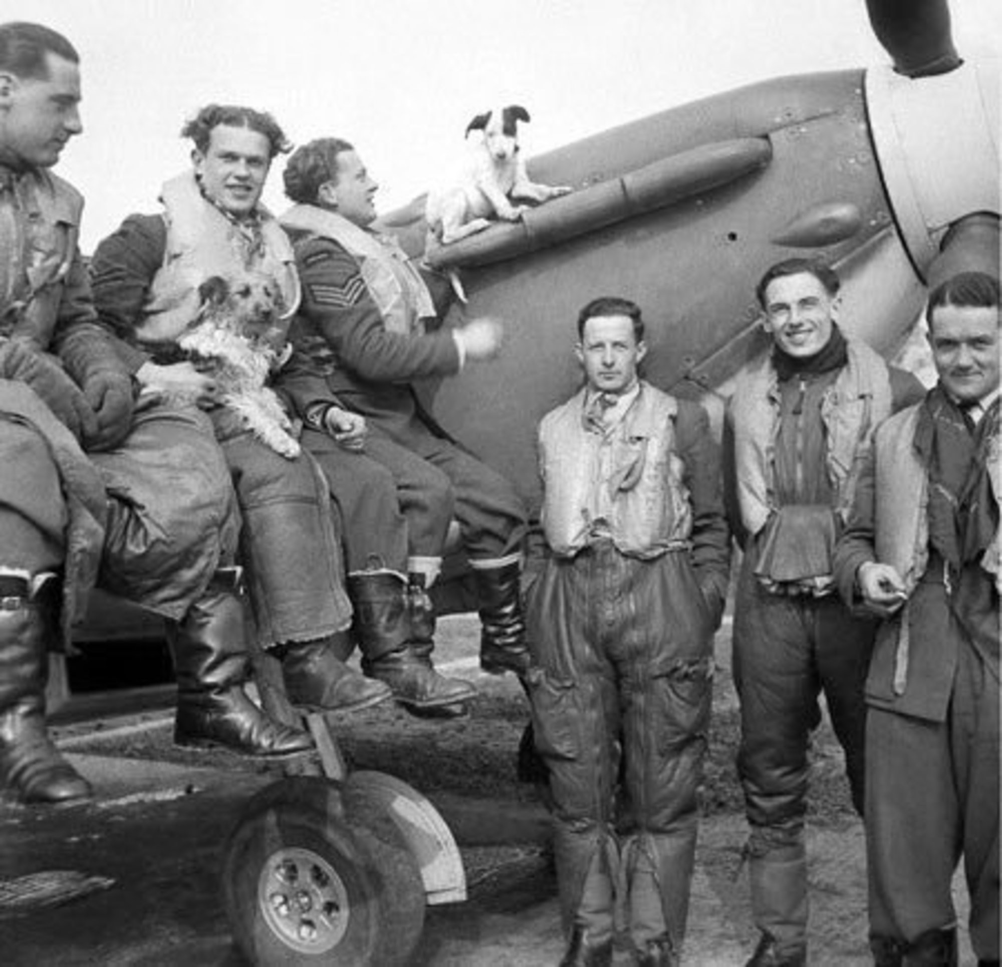 飓风行动剧照的剧照