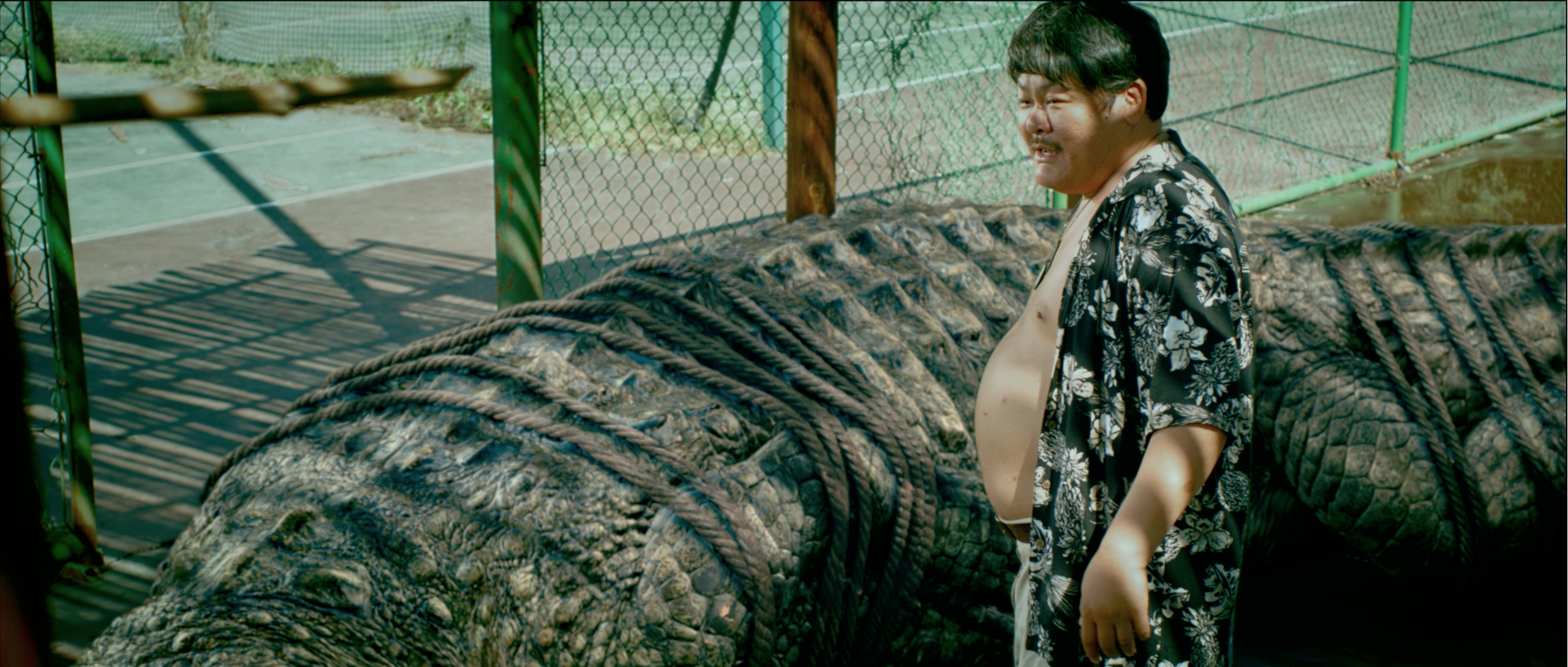 百万巨鳄剧照的剧照