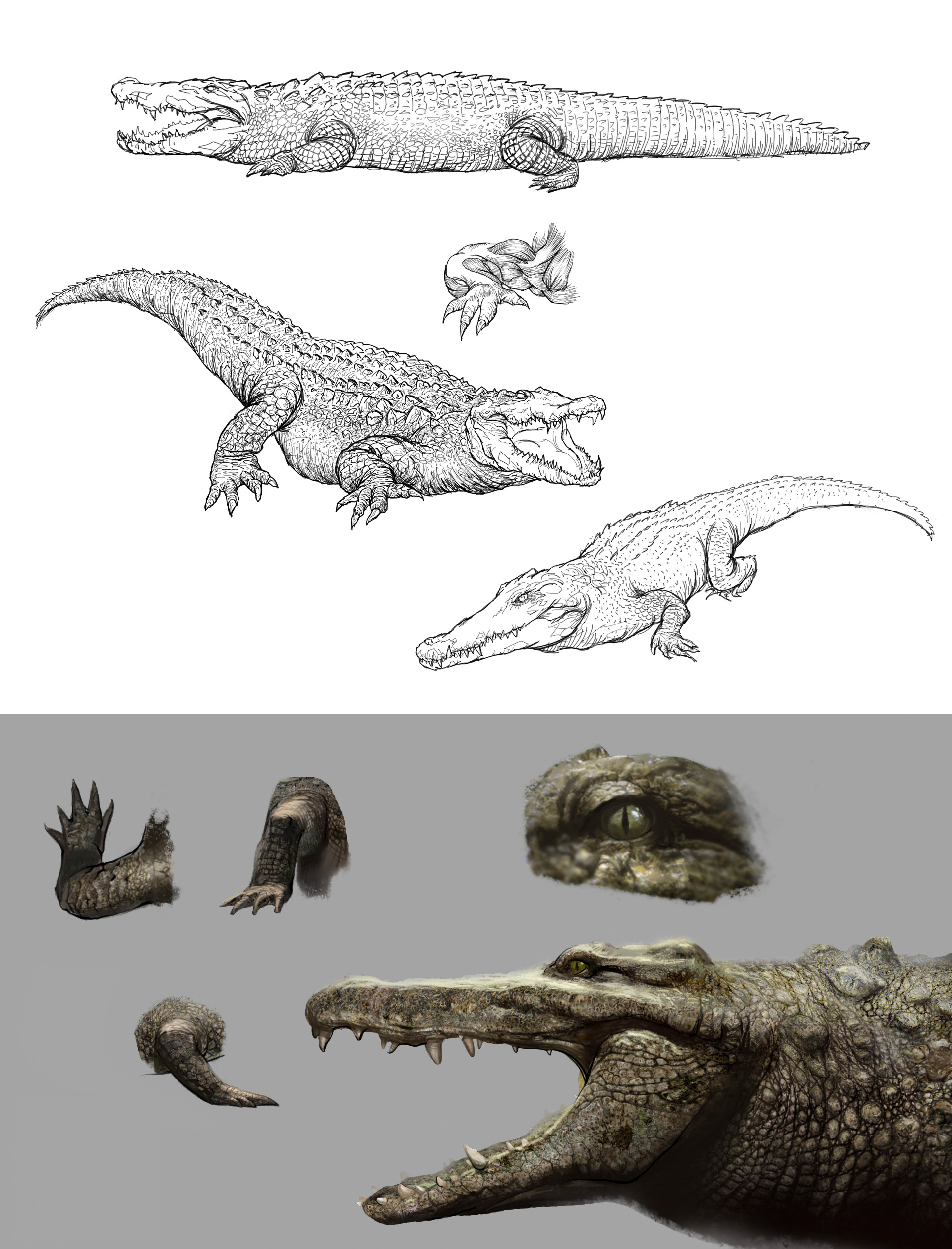 百万巨鳄剧照的剧照