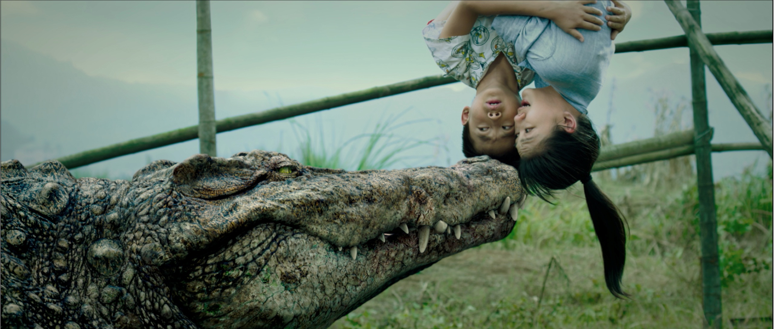 百万巨鳄剧照的剧照